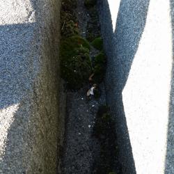 MANTENIMIENTO BAJANTE PLUVIAL